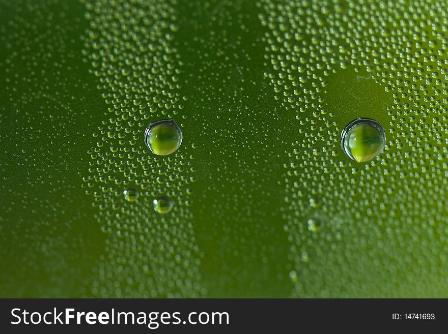 A close up shot of green water droplets on a glass. A close up shot of green water droplets on a glass