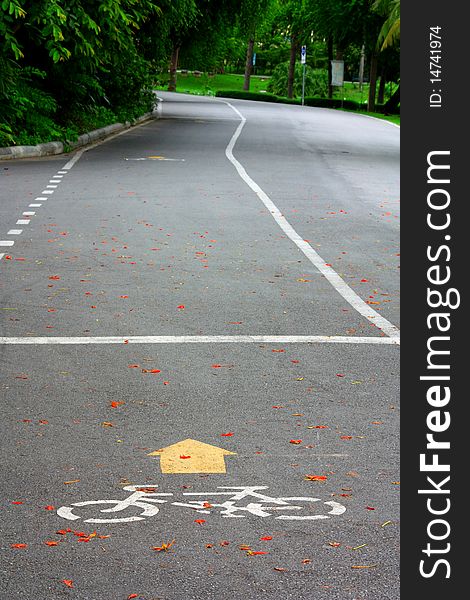 The bicycle way in the garden