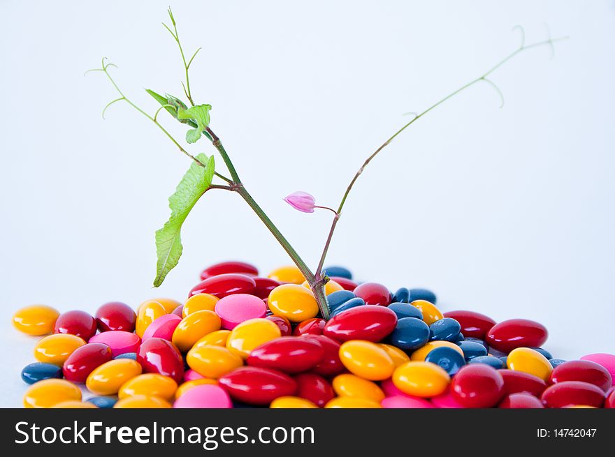 Colour of drug look like candy with tree. Colour of drug look like candy with tree
