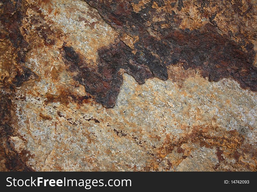 Natural multi-colour stone with a pattern in forest