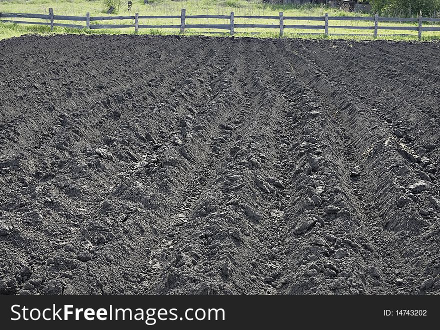 Earliest period of growing potato field without green plants. Only earth rows. Earliest period of growing potato field without green plants. Only earth rows.