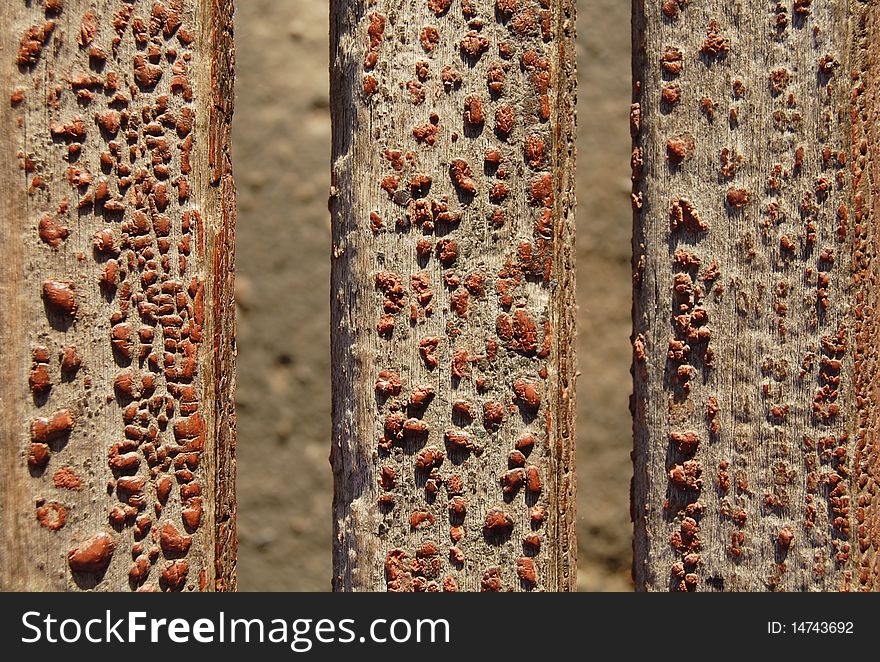 The abstract, wooden background with orange drops old paint