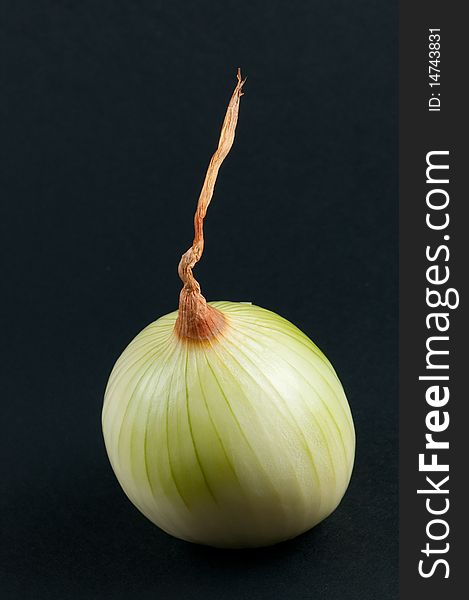 Onion