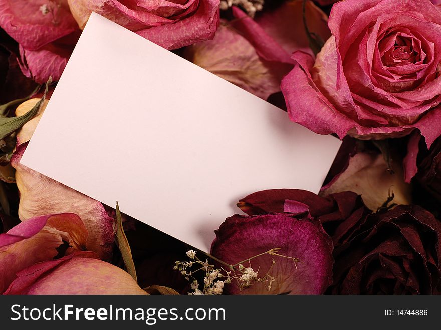 Empty card for your message on romantic dried roses background. Empty card for your message on romantic dried roses background