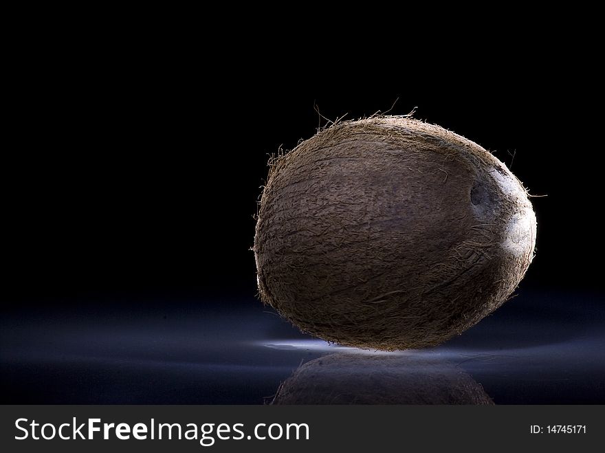 Coconut on a dark background