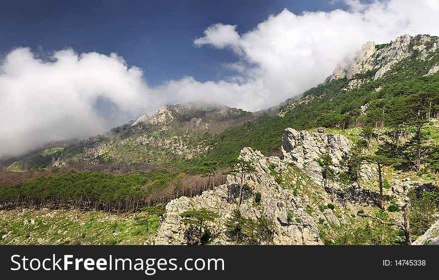 Mountain array with wood and greater white cloud. Natural composition.