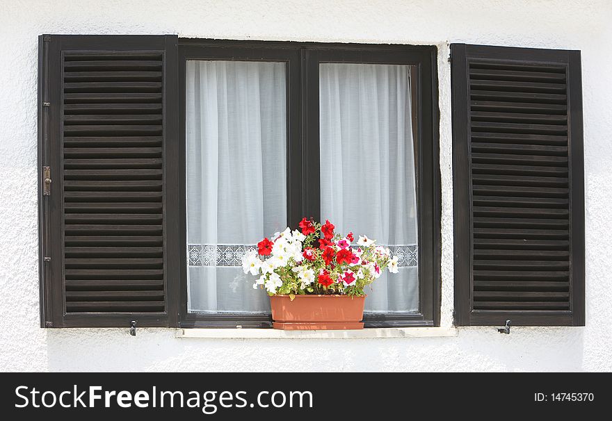 Window with flowers on a white background