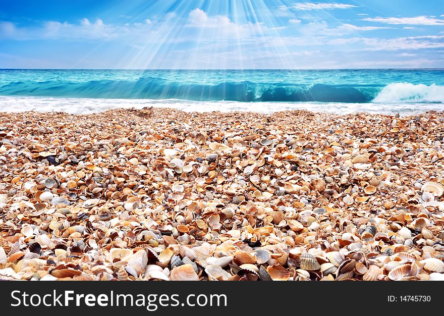 Sunny day on a beach