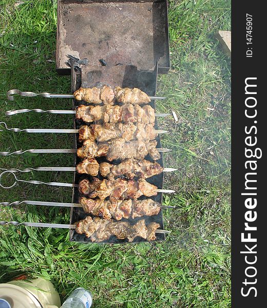 Shish Kebab