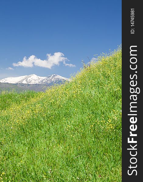 Spring landscape with mountain peaks in background.