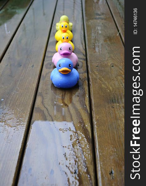 The rubber ducks are coming. The rubber ducks are coming