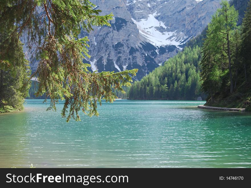 Landscape of Braies lake in northern italy: pines and dolomites. Landscape of Braies lake in northern italy: pines and dolomites