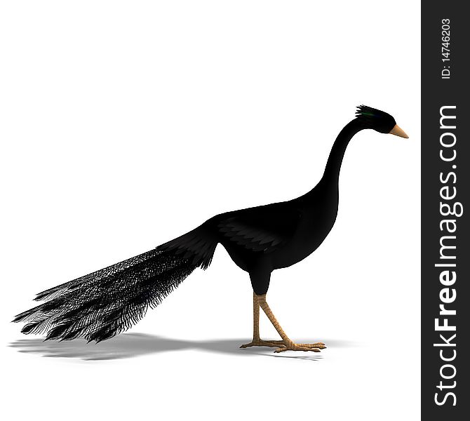Black fantasy bird with beautiful feathers. 3D rendering with clipping path and shadow over white