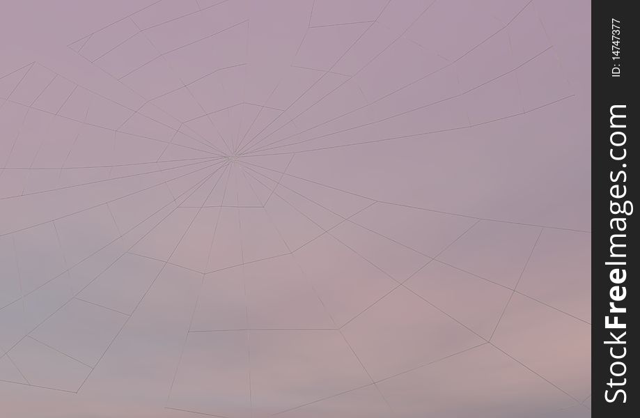 Close up of Spider Web in the Sky