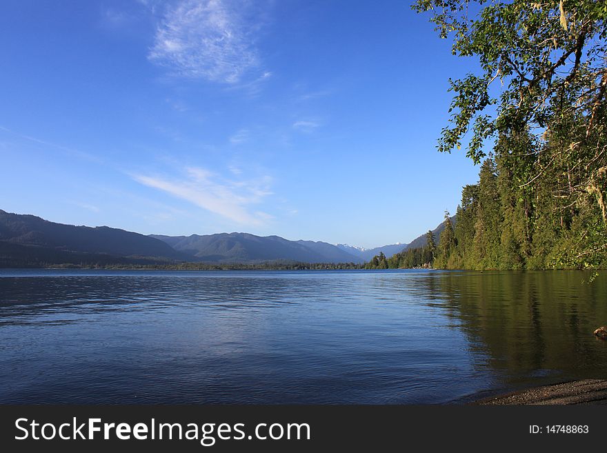 Lake Quinault in Olympic National Forest in Washington state