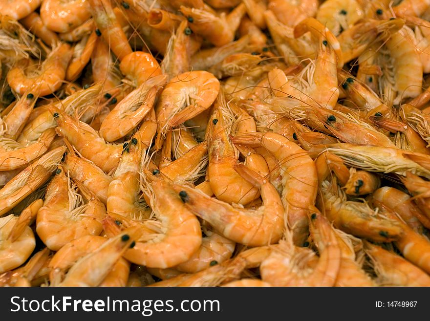 Close up of many shrimp. Close up of many shrimp