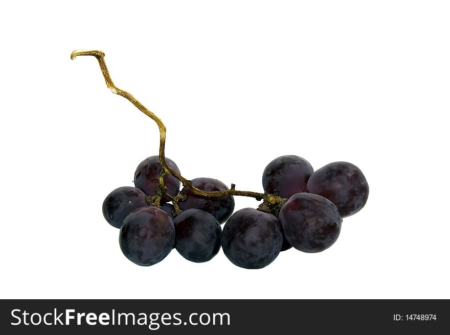Plenty grape taking place on branch from a grapes. Plenty grape taking place on branch from a grapes