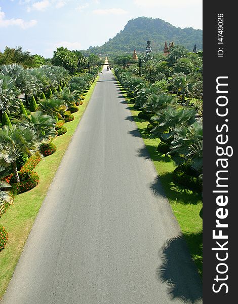 Tropical Garden at Pattaya, Thailand