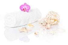 White Towel With Orchid An Seashells Royalty Free Stock Photo White Towel With Orchid An Seashells Royalty Free Stock Photo