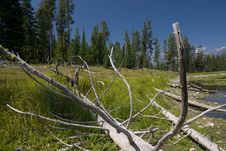 Yellowstone Landscape Stock Photos Yellowstone Landscape Stock Photos