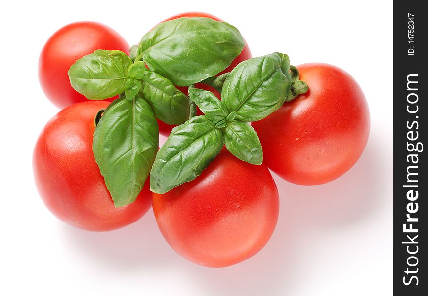 Ripe tomatoes and basil on a white background