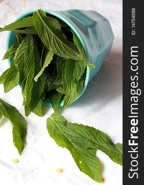 Fresh mint in a blue cup