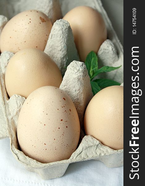 Organic chicken eggs and mint in recycled paper egg carton