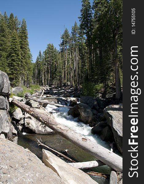 A stream runs through the Sierra mountains in California, surrounded by Pine trees, with little water falls. A stream runs through the Sierra mountains in California, surrounded by Pine trees, with little water falls.