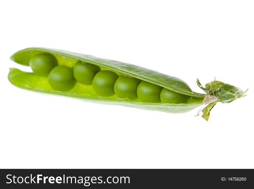 Green pea on white background. Green pea on white background