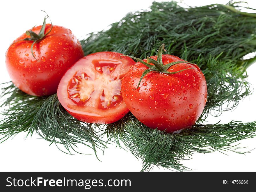 Juicy tomatoes on bunch of the dill on white background