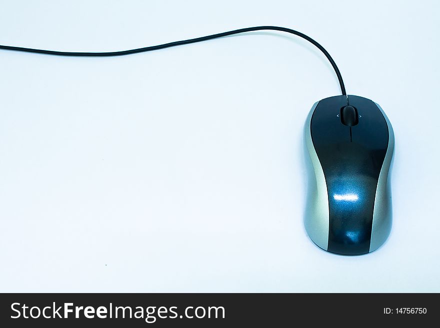 Mouse And White Background
