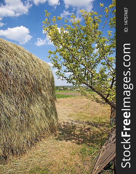 The stack of dry hay is prepared for a winter season for livestock feeding. The stack of dry hay is prepared for a winter season for livestock feeding