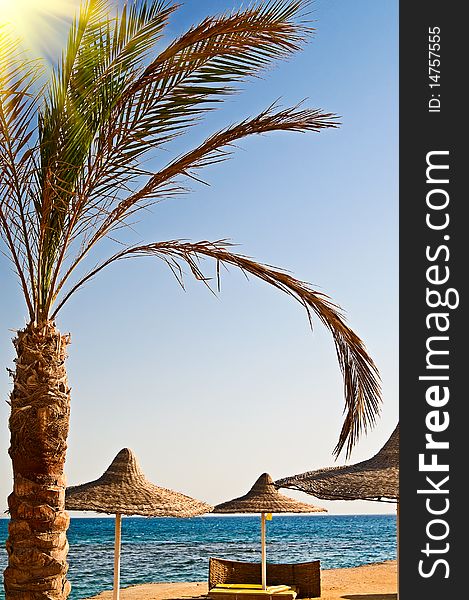 Beautiful tropical beach in the Egypt. Beautiful tropical beach in the Egypt.