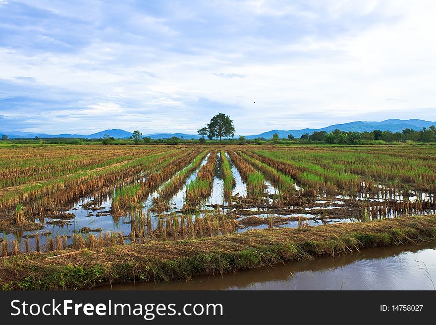 Rural area,countryside of Thailand,Northern of Thailand. Rural area,countryside of Thailand,Northern of Thailand