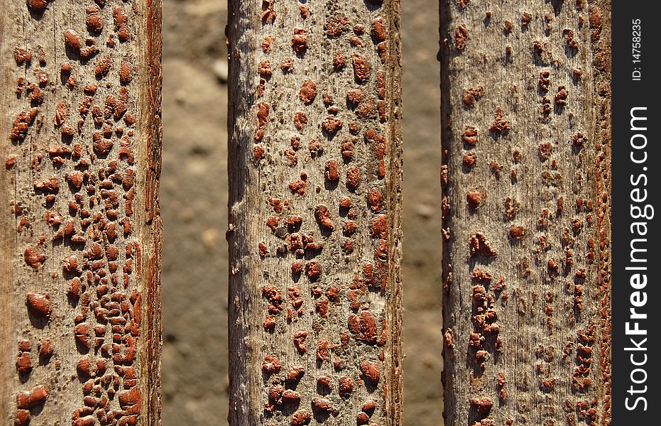 Wooden background with brown drops old paint