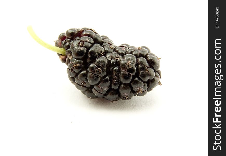One berry of the mulberry on white background close-up. One berry of the mulberry on white background close-up