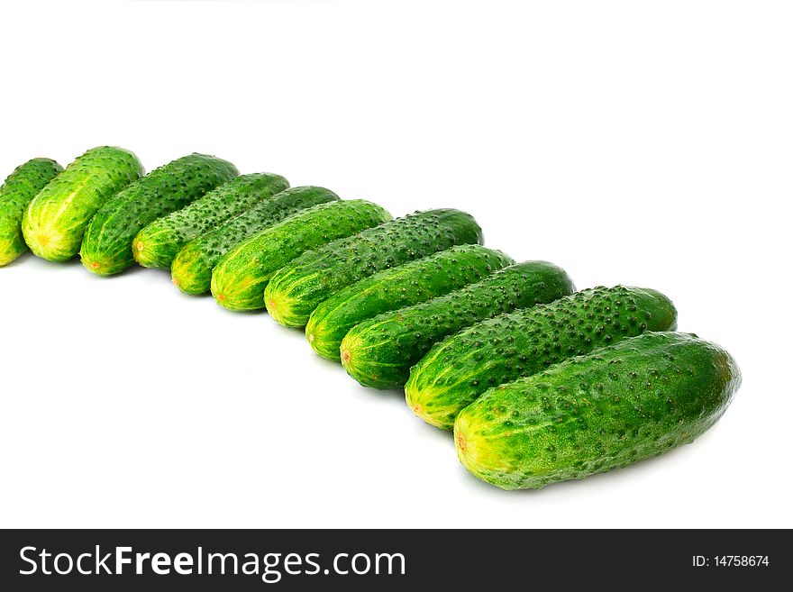 Green ripe cucumbers on a white background. Green ripe cucumbers on a white background