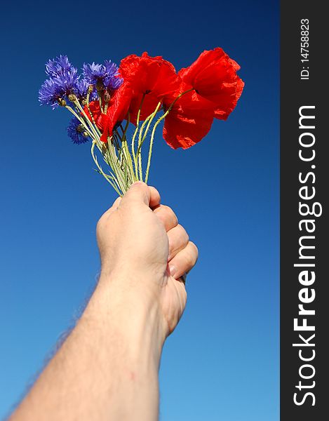A bouquet of wildflowers held in hand against blue sky