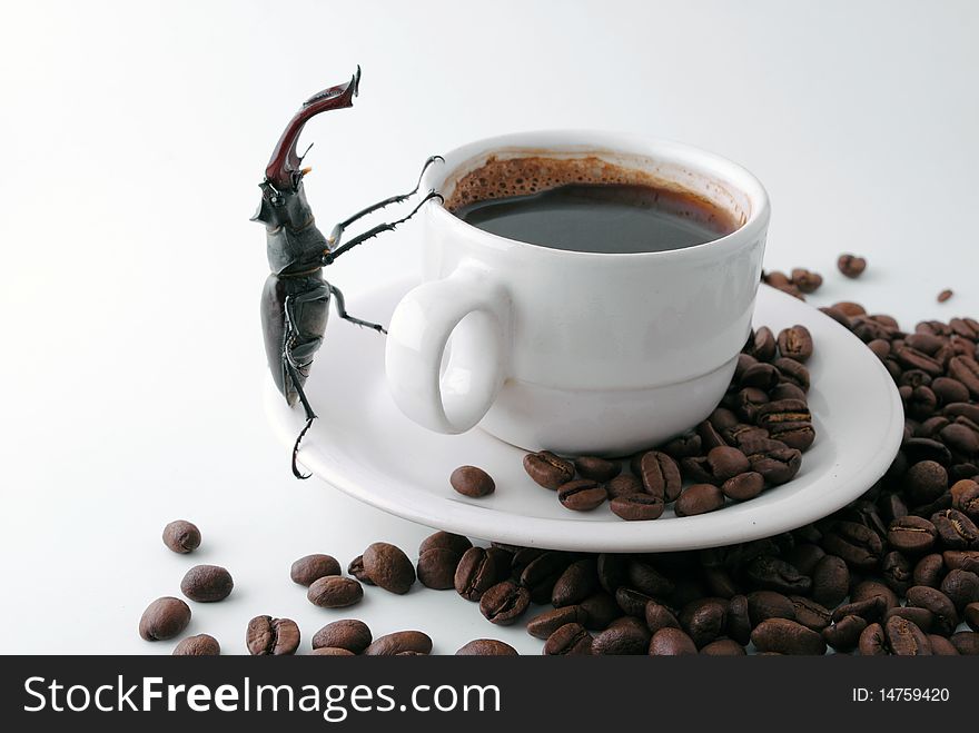Lucanus Cervus standing on a cup of black coffee, surrounded by coffee beans. Lucanus Cervus standing on a cup of black coffee, surrounded by coffee beans.