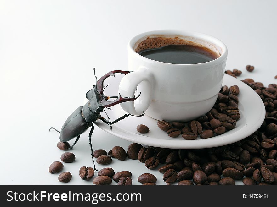 Lucanus Cervus standing on a cup of black coffee, surrounded by coffee beans. Lucanus Cervus standing on a cup of black coffee, surrounded by coffee beans.