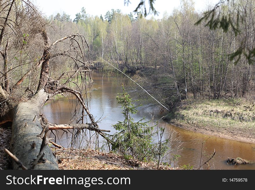 The steep banks Yushut River in the spring.