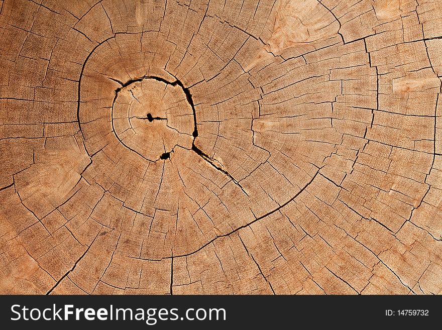 Wooden texture. It is use as a background. Wooden texture. It is use as a background.