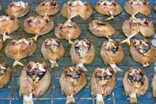 Dried Fish Royalty Free Stock Image Dried Fish Royalty Free Stock Image