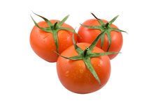 Red Tomatoes Royalty Free Stock Photography
