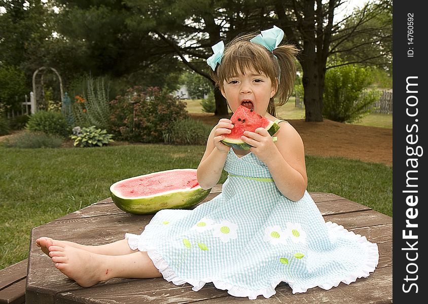 Little girl on picnic table enjoys large slice of watermelon. Little girl on picnic table enjoys large slice of watermelon