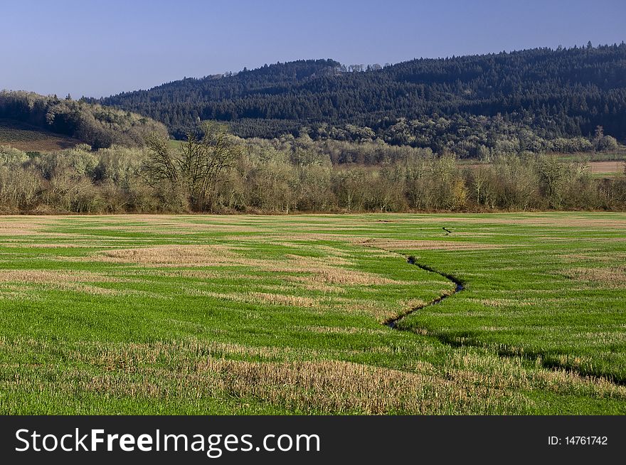 A narrow water river stream going through a green grass field landscape. A narrow water river stream going through a green grass field landscape.