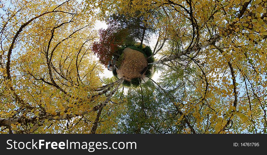 A little miniature planet with large trees with yellow leafs on them. A little miniature planet with large trees with yellow leafs on them