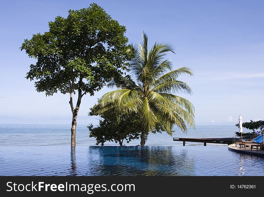 Swimming Pool In Thailand Hotel