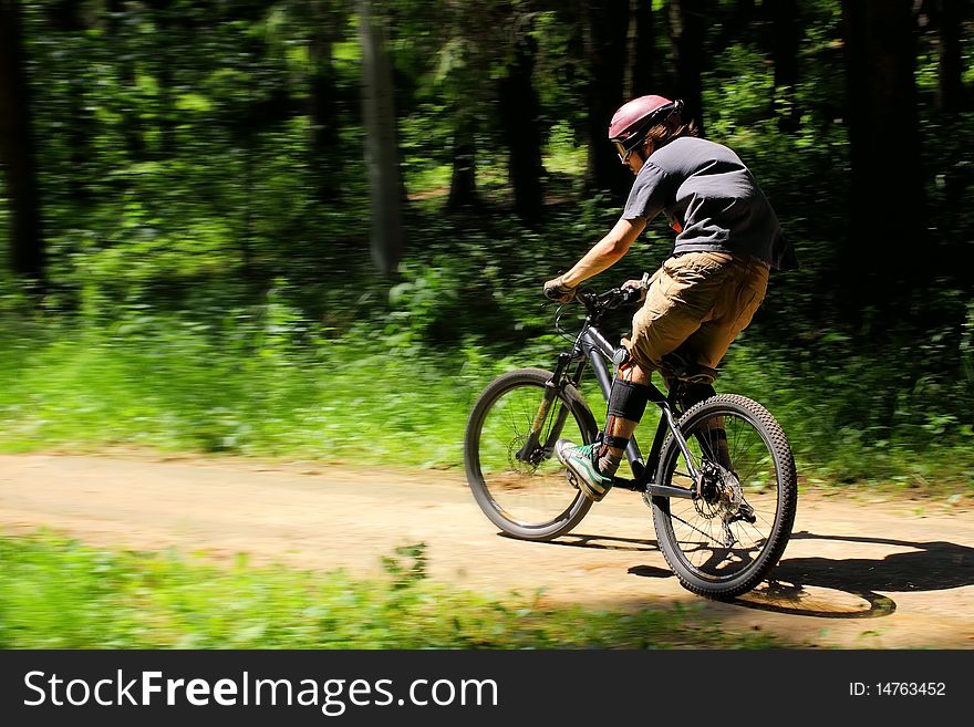 Cyclist in forest