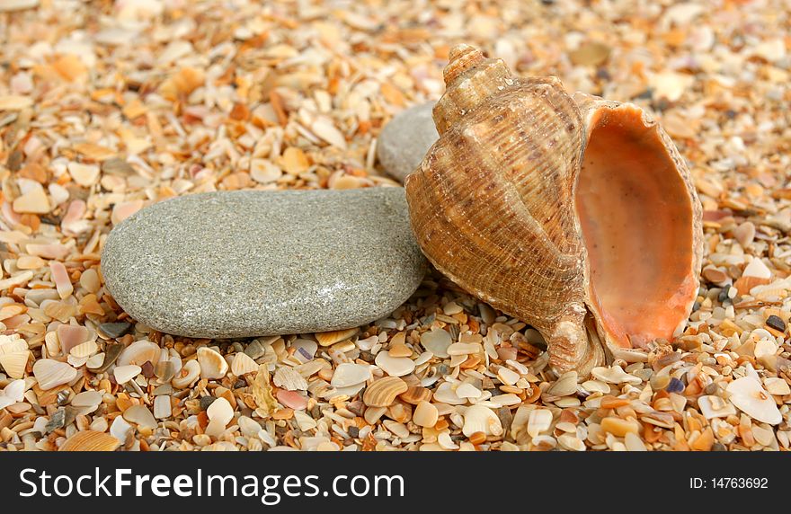 Two stones and cockleshell on sand